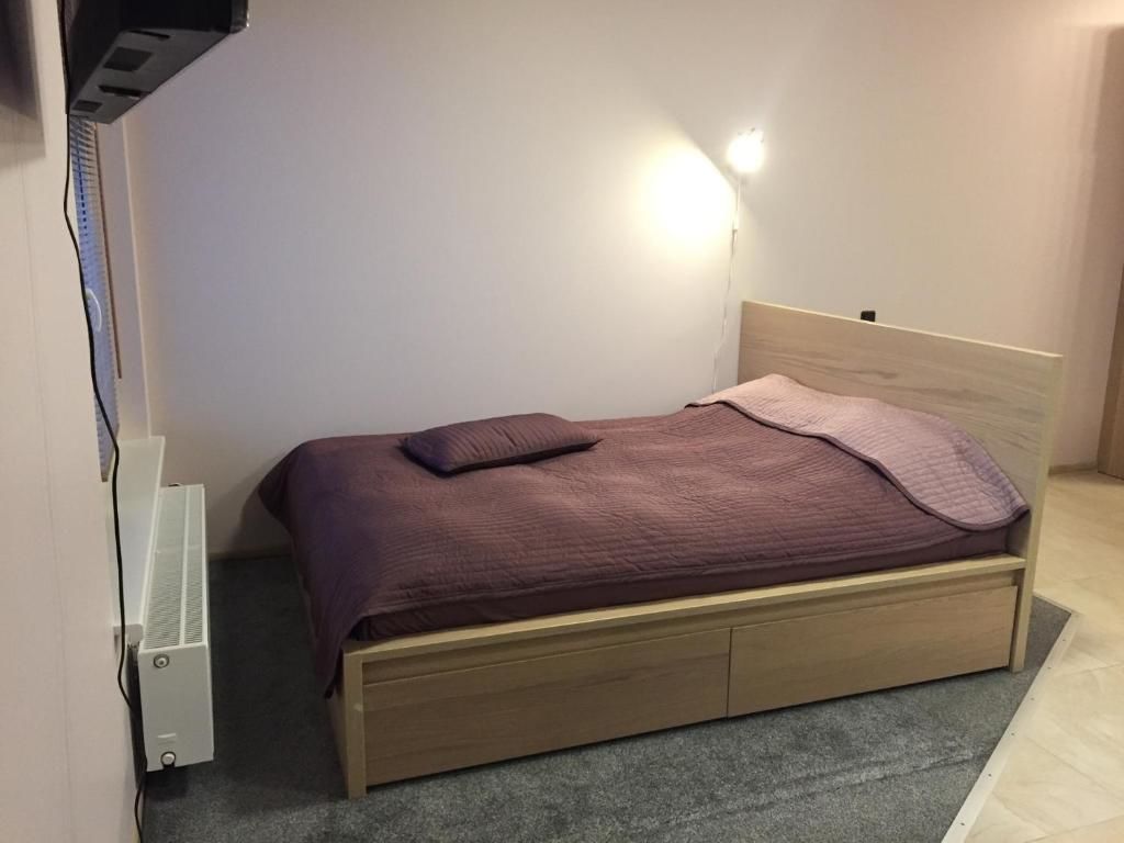 Апартаменты Svitrigailos-in-center Вильнюс-31