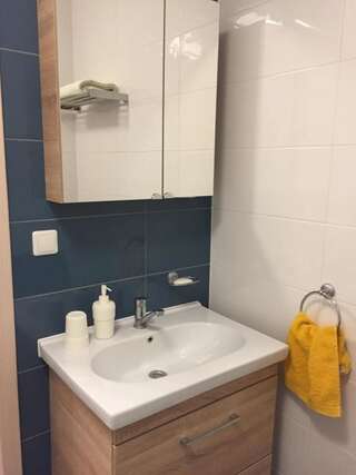 Апартаменты Svitrigailos-in-center Вильнюс Апартаменты-32