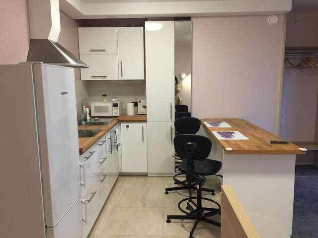 Апартаменты Svitrigailos-in-center Вильнюс-32